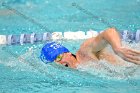 Swimming & Diving vs Babson  Swimming & Diving vs Babson College. - Photo by Keith Nordstrom : Wheaton, Swimming